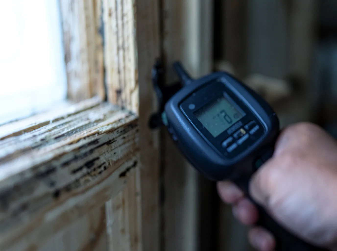 Commercial Water Damage Restoration in Downs, IL